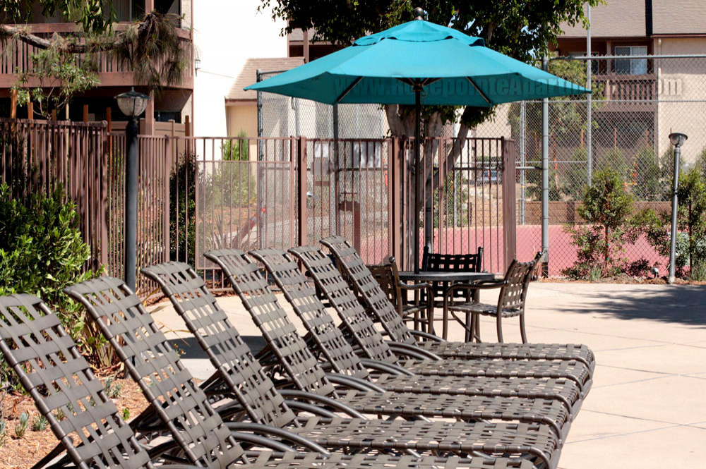 Take a tour today and view Amenities 33 for yourself at the Rose Pointe Apartments